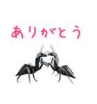 まいにち折り紙トーク（個別スタンプ：5）