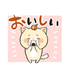 猫？犬？毎日使える あんまるのスタンプ3（個別スタンプ：1）