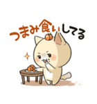 猫？犬？毎日使える あんまるのスタンプ3（個別スタンプ：5）
