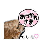 丁寧語むぎ様スタンプ（個別スタンプ：2）