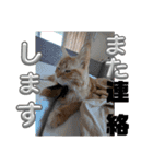 丁寧語むぎ様スタンプ（個別スタンプ：6）