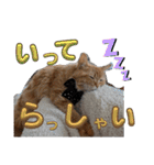 丁寧語むぎ様スタンプ（個別スタンプ：10）