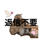 丁寧語むぎ様スタンプ（個別スタンプ：12）
