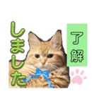丁寧語むぎ様スタンプ（個別スタンプ：13）