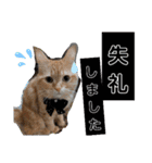 丁寧語むぎ様スタンプ（個別スタンプ：15）