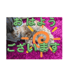 丁寧語むぎ様スタンプ（個別スタンプ：16）