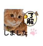 丁寧語むぎ様スタンプ（個別スタンプ：17）