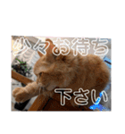 丁寧語むぎ様スタンプ（個別スタンプ：18）