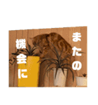 丁寧語むぎ様スタンプ（個別スタンプ：21）