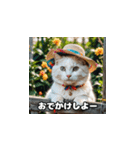 猫の夏休み2025（個別スタンプ：1）