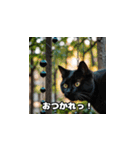 猫の夏休み2025（個別スタンプ：2）