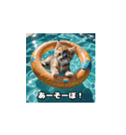 猫の夏休み2025（個別スタンプ：5）