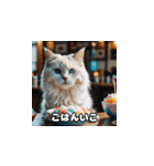 猫の夏休み2025（個別スタンプ：8）