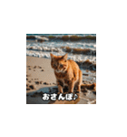 猫の夏休み2025（個別スタンプ：9）