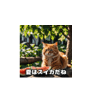 猫の夏休み2025（個別スタンプ：12）