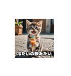 猫の夏休み2025（個別スタンプ：13）