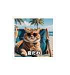 猫の夏休み2025（個別スタンプ：14）