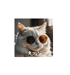 猫の夏休み2025（個別スタンプ：15）