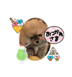 うずら＆ゆず あいさつ（個別スタンプ：4）