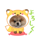 うずら＆ゆず あいさつ（個別スタンプ：5）