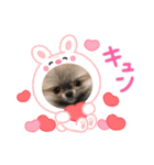 うずら＆ゆず あいさつ（個別スタンプ：7）