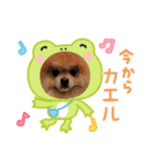 うずら＆ゆず あいさつ（個別スタンプ：8）
