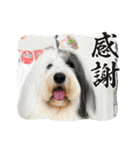 のあねねめるの日常（個別スタンプ：3）