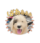 のあねねめるの日常（個別スタンプ：12）