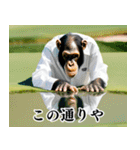 チンパのゴルファー【関西弁】（個別スタンプ：4）