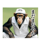 チンパのゴルファー【関西弁】（個別スタンプ：5）
