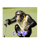 チンパのゴルファー【関西弁】（個別スタンプ：10）