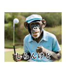 チンパのゴルファー【関西弁】（個別スタンプ：12）