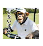 チンパのゴルファー【関西弁】（個別スタンプ：15）