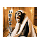 チンパのゴルファー【関西弁】（個別スタンプ：21）