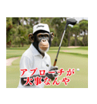 チンパのゴルファー【関西弁】（個別スタンプ：29）