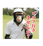 チンパのゴルファー【関西弁】（個別スタンプ：35）