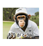 チンパのゴルファー【関西弁】（個別スタンプ：37）