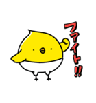 ぴよこ組（個別スタンプ：3）