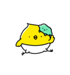 ぴよこ組（個別スタンプ：6）