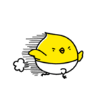 ぴよこ組（個別スタンプ：12）