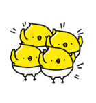 ぴよこ組（個別スタンプ：14）