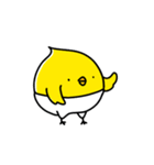 ぴよこ組（個別スタンプ：15）