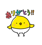 ぴよこ組（個別スタンプ：19）