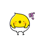ぴよこ組（個別スタンプ：22）