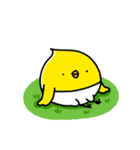 ぴよこ組（個別スタンプ：24）
