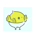 ぴよこ組（個別スタンプ：30）