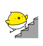 ぴよこ組（個別スタンプ：31）