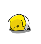 ぴよこ組（個別スタンプ：36）