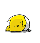 ぴよこ組（個別スタンプ：37）