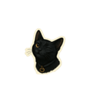 黒猫のノワール（個別スタンプ：3）